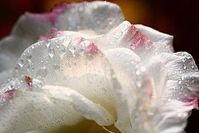 《百英雄传》中文版实机演示 4月23日发售